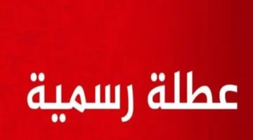 تفاصيل إجازات نوفمبر 2025 للمدارس والجامعات بعد انتهاء الإجازات الرسمية